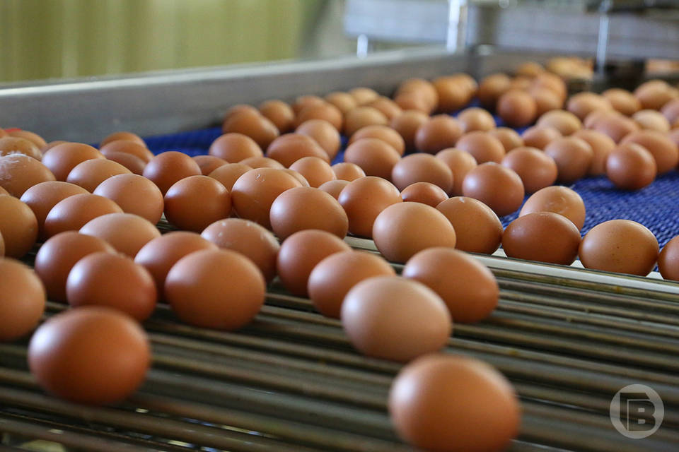 В Волгограде продолжают дорожать яйца