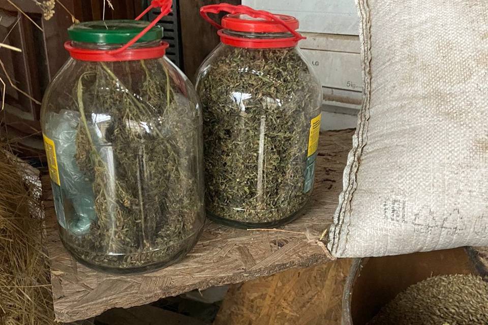 В Волгоградской области мужчина прятал наркотики в бочке с зерном