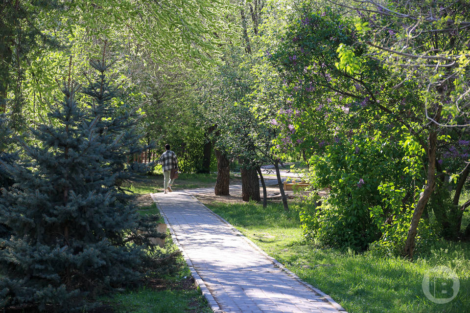 В Волгоградской области по нацпроекту обновили 700 парков и дворов