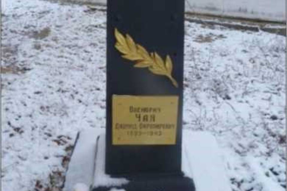 В Волгоградской области взяли на госохрану могилу с памятником военврача