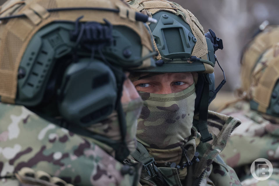 В Волгограде 25 участников СВО получили удостоверения ветеранов боевых действий