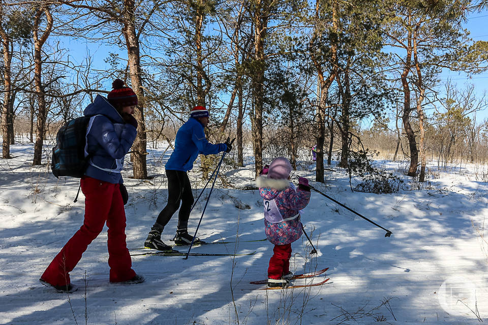 Волгоградцы присоединятся к массовой лыжной гонке "Лыжня России"