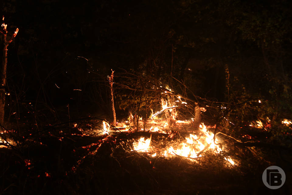 На острове Зеленый в Волжском заживо сгорела 84-летняя женщина