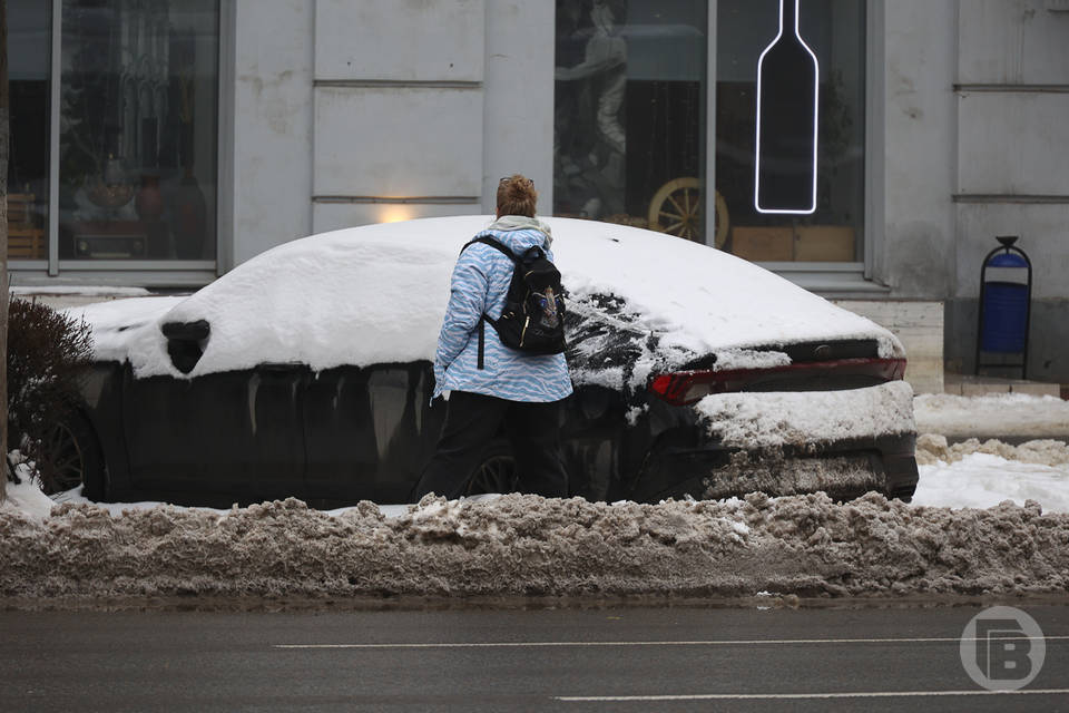 Снежная лихорадка ожидает Волгоград