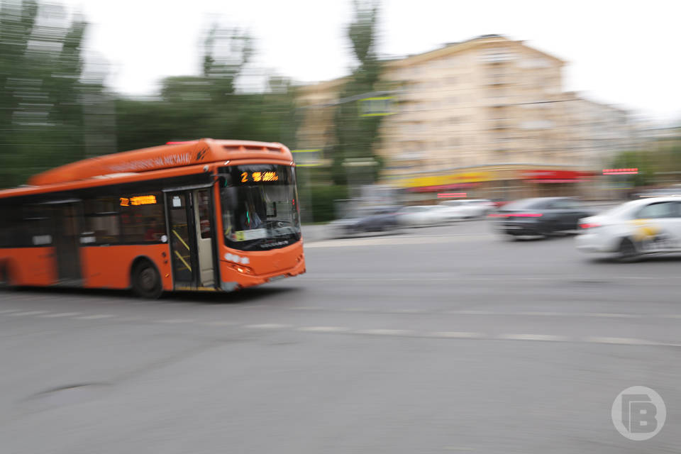 В Волгограде ищут предпринимателей для обслуживания четырех автобусных маршрутов