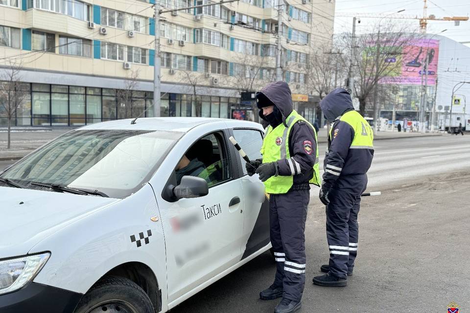 В Волгограде 29 февраля массово проверили водителей