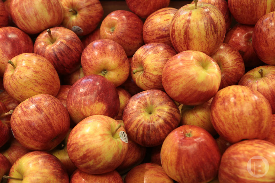 19 тонн яблок ввезли в Волгоградскую область за неделю