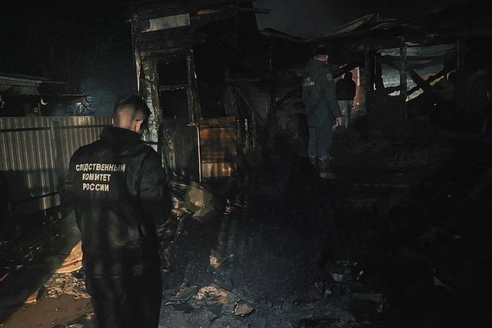 Следователи сообщили о гибели двух детей на пожаре в Волгоградской области