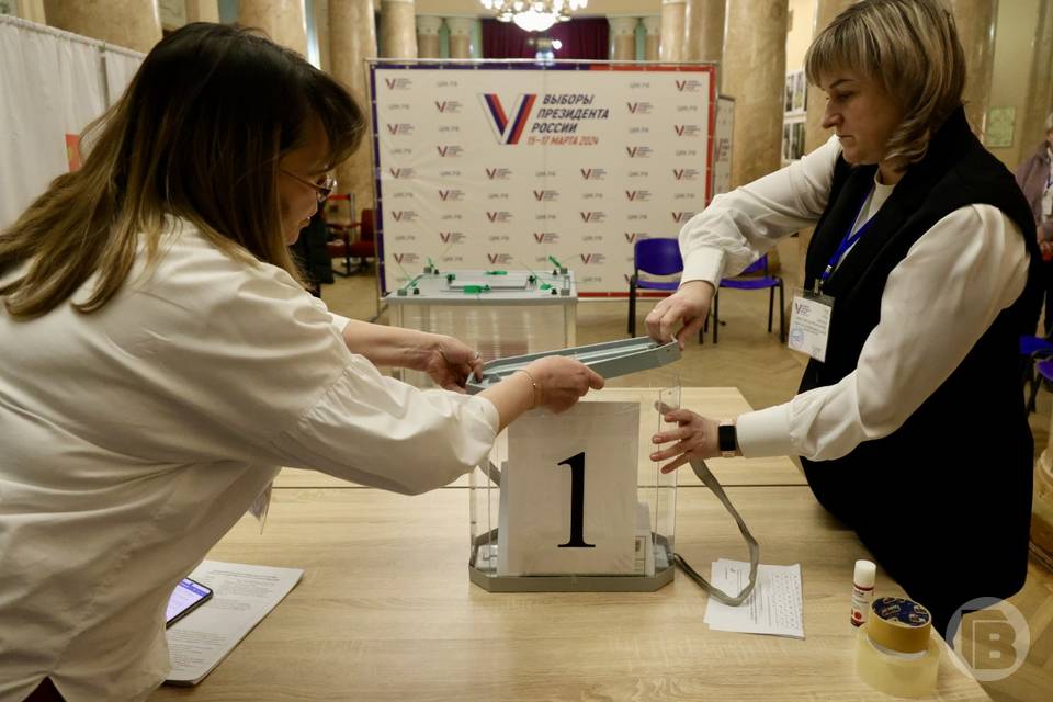 В Волгоградской области явка на выборах президента составила 81,83%