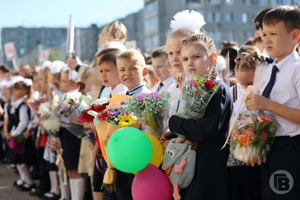 В Волгограде составили перечень школ с указанием территорий, за которыми они закреплены