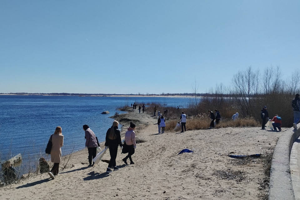 В Волгоградской области на субботниках очистят  берега водоемов
