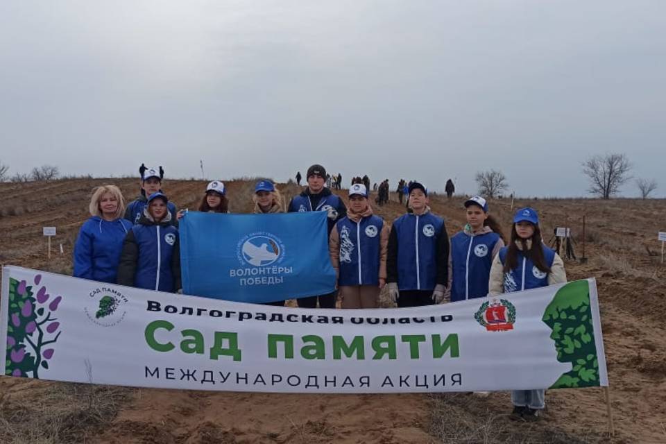 Волгоградцы высадили 20 тысяч деревьев в рамках акции «Сад Памяти»