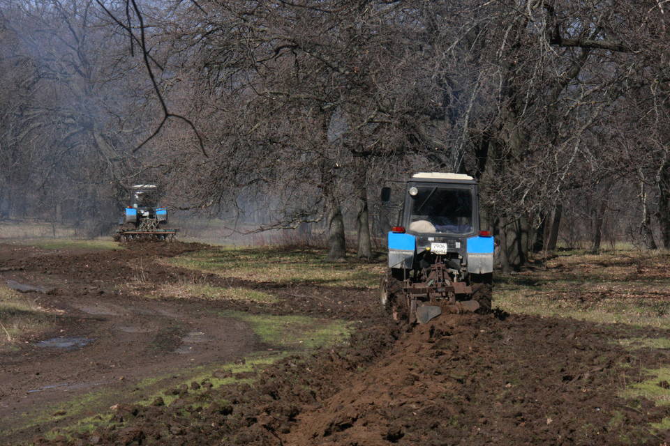 55 тыс. км минерализованных полос прочистят в лесах Волгоградской области