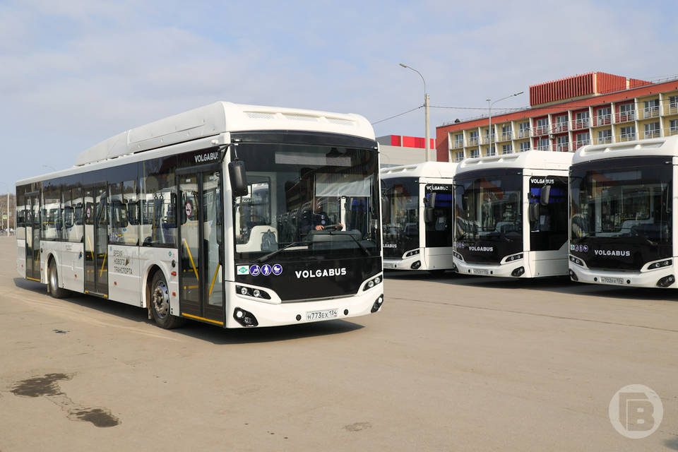 В Волгограде водитель городского автобуса спас пассажира