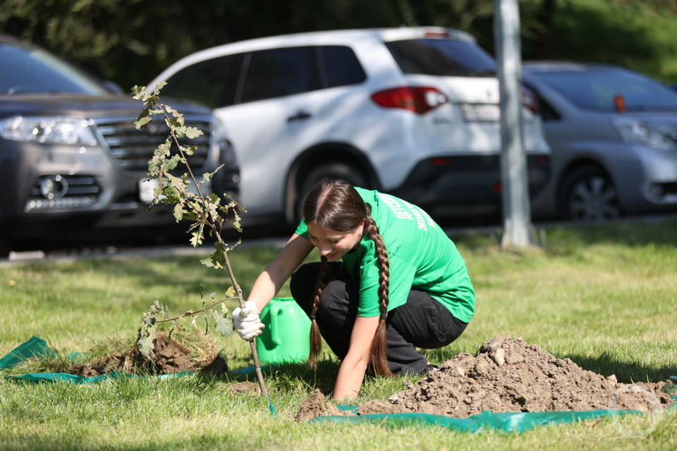 Коллектив завода из Волжского высадил 600 молодых деревьев