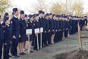 Волгоградские кадеты высадили «Лес Победы»