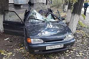 На юге Волгограда из-за падения дерева на машину пострадало два человека