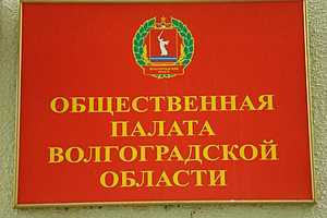 Фото: пресс-служба Общественной палаты Волгоградской области