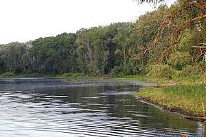 Инициативы Волгоградской области вошли в приоритетный перечень федерального проекта «Экология»