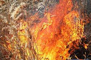 За неделю в Волгограде произошло 109 пожаров