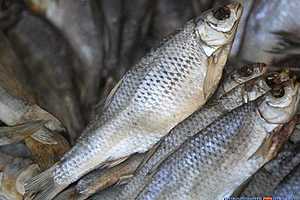 В Волгоградской области пенсионер скончался, съев солёную рыбу