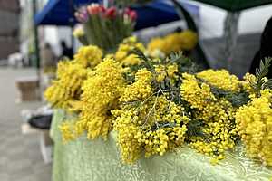 В Волгограде массово скупают цветы к празднику