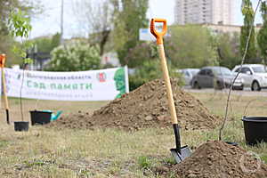 Фото: Данил Савченко / "Городские вести"