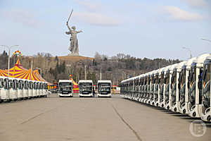 В Волгоградской области на линию выйдут 83 новых межмуниципальных автобуса
