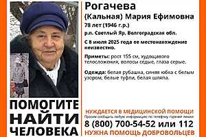 Фото: поисковый отряд «ЛизаАлерт»