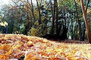 Фото: Евгения Иванова/"Городские вести"