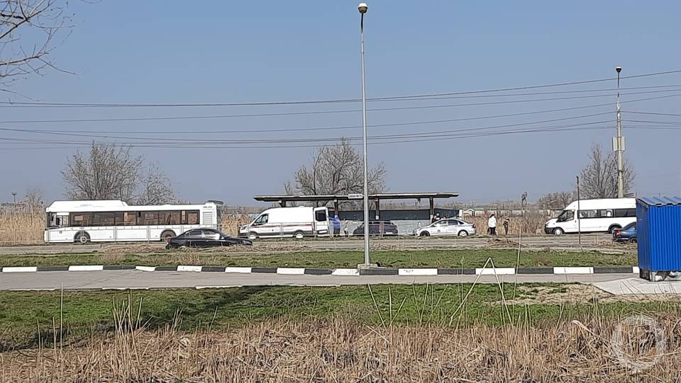 Волгоград 55 автобус на сегодня. Общественный транспорт Волгограда. Автобус Волгоград. Автовокзал фото.