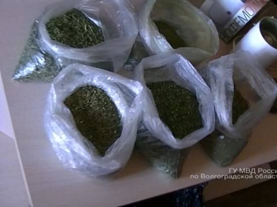 У пенсионера-наркоторговца на севере Волгограда изъяли килограмм марихуаны