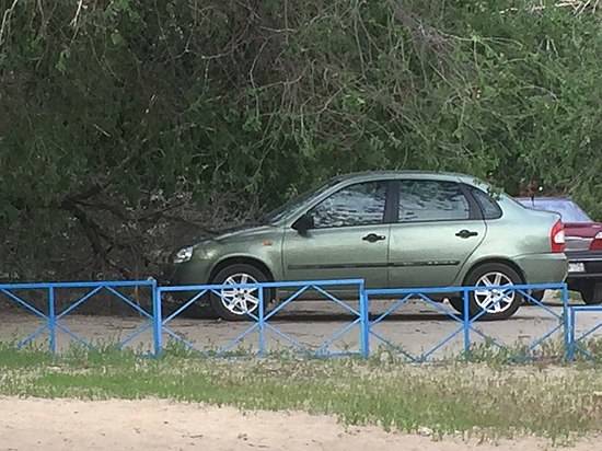 В центре Волгограда ветер повалил дерево на машину