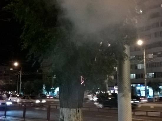 В Центральном районе Волгограда загорелось дерево