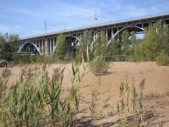 Экологи: пойме Царицы необходимо комплексное оздоровление