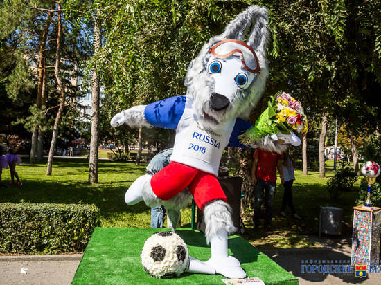 Выставка цветов в Волгограде: популярен Забивака с букетом