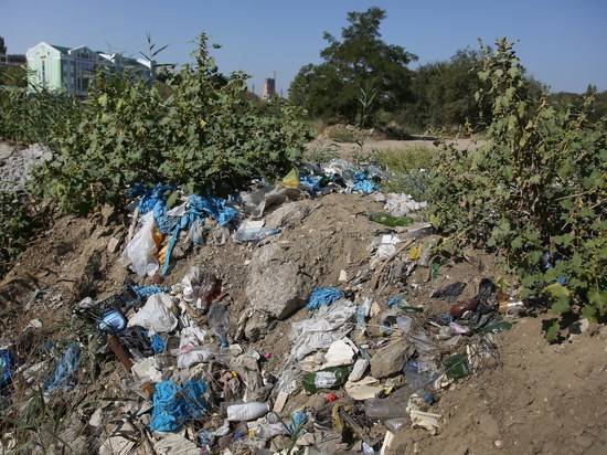 Прогулки по пойме реки Царицы: будь осторожен, всяк туда входящий