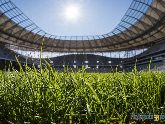 Прошивка газона на «Волгоград-Арене» запланирована на ноябрь