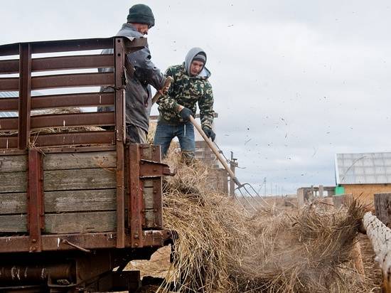 Волгоградские фермеры будут развивать животноводство на федеральные гранты