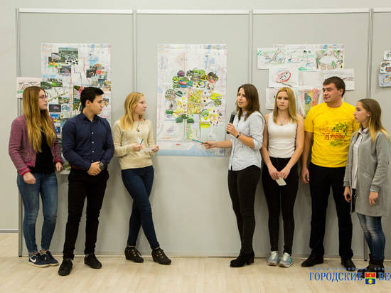 Новогоднюю елку волгоградцы предлагают установить в пойме Царицы