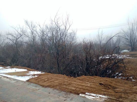 В Волгограде решат проблему неблагоустроенной территории в Дзержинском районе