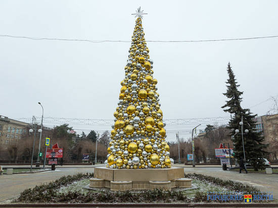 Необычная золотая елка появилась в центре Волгограда
