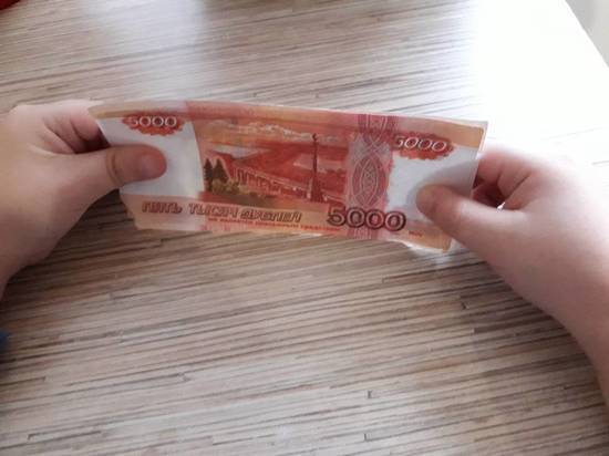 С нового года семьи с низким доходом начнут получать по 10 тысяч рублей из маткапитала