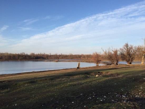 Яркое солнце и зеленая трава: волгоградцы «немного» удивлены  теплым январем