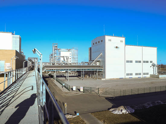 В Волгоградской области увеличат объем сельхозпереработки