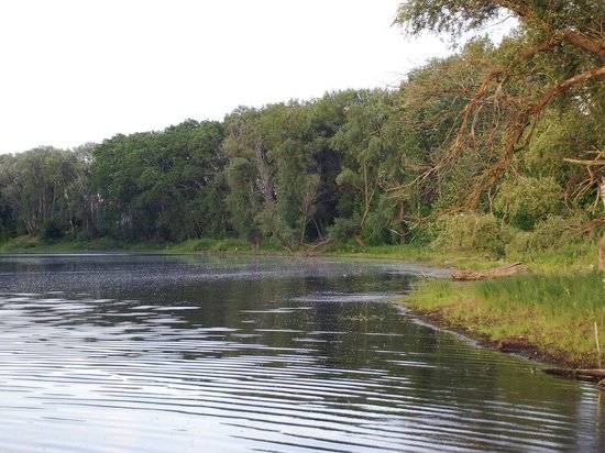 В 13 районах Волгоградской области открывается сезон охоты на пернатых