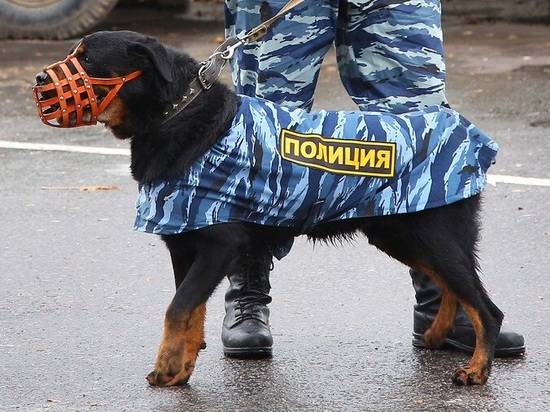Полиция Волгограда обеспечит безопасность во время празднования Пасхи
