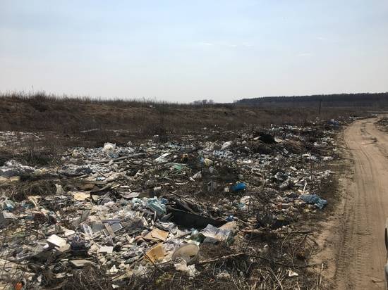 В Михайловке по решению суда ликвидируют несанкционированную свалку