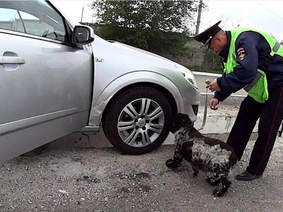 Два иностранца идут под суд за сбыт наркотиков в Волгограде