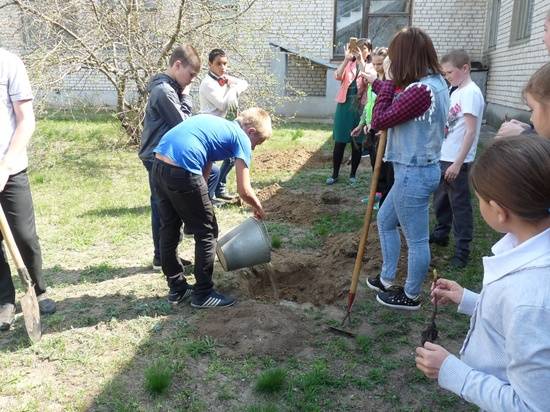 200 деревьев высадили у школы в Иловлинском районе